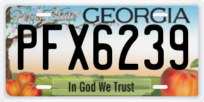 GA license plate PFX6239