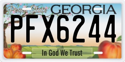 GA license plate PFX6244
