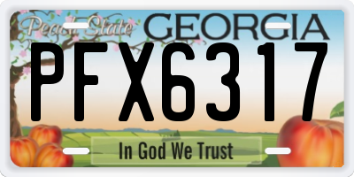 GA license plate PFX6317