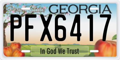 GA license plate PFX6417