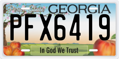 GA license plate PFX6419