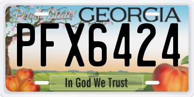 GA license plate PFX6424