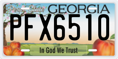 GA license plate PFX6510