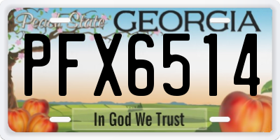 GA license plate PFX6514