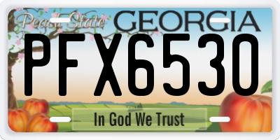 GA license plate PFX6530