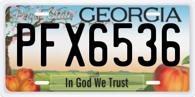 GA license plate PFX6536