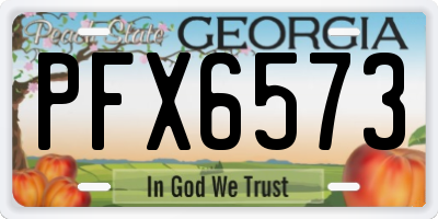 GA license plate PFX6573