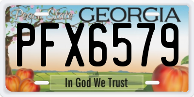 GA license plate PFX6579