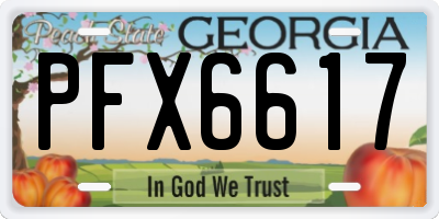 GA license plate PFX6617
