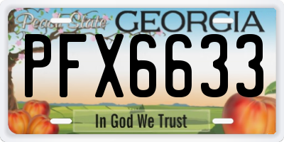 GA license plate PFX6633
