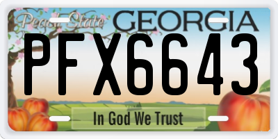GA license plate PFX6643