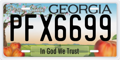 GA license plate PFX6699