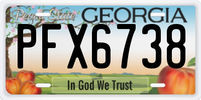 GA license plate PFX6738