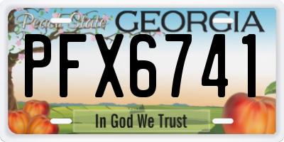 GA license plate PFX6741