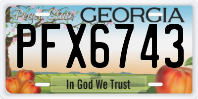 GA license plate PFX6743