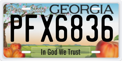 GA license plate PFX6836
