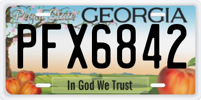 GA license plate PFX6842