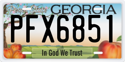 GA license plate PFX6851