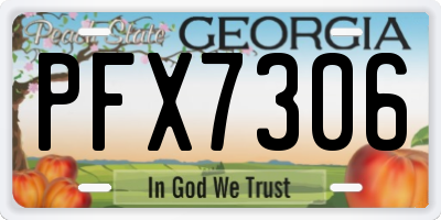 GA license plate PFX7306