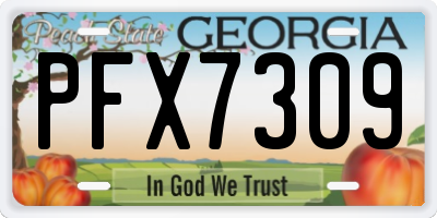 GA license plate PFX7309