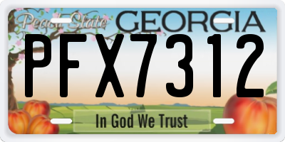 GA license plate PFX7312