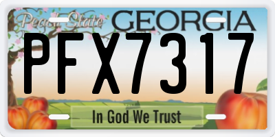GA license plate PFX7317