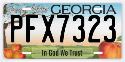 GA license plate PFX7323
