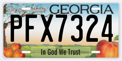 GA license plate PFX7324