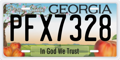 GA license plate PFX7328