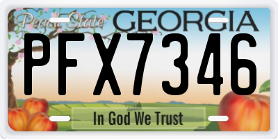 GA license plate PFX7346