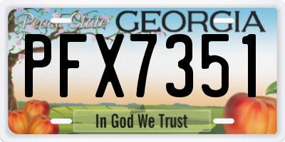 GA license plate PFX7351