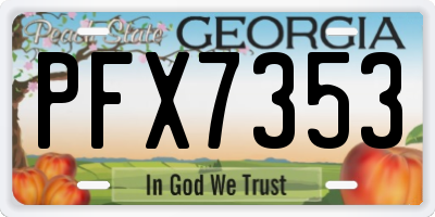 GA license plate PFX7353