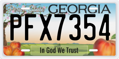 GA license plate PFX7354