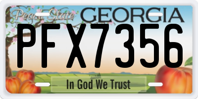 GA license plate PFX7356