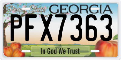 GA license plate PFX7363