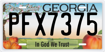 GA license plate PFX7375