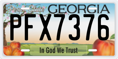 GA license plate PFX7376