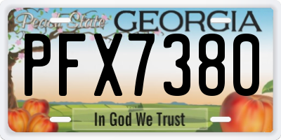GA license plate PFX7380
