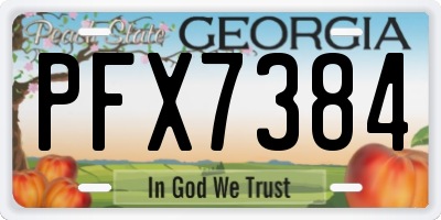 GA license plate PFX7384