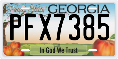 GA license plate PFX7385
