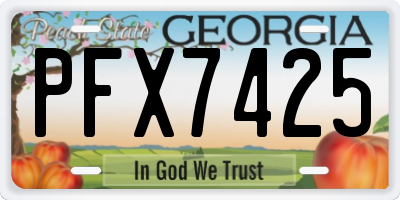 GA license plate PFX7425
