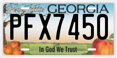 GA license plate PFX7450