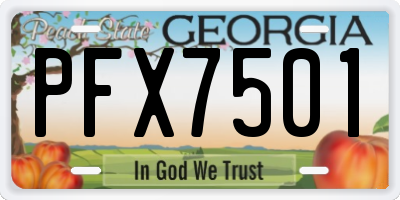 GA license plate PFX7501