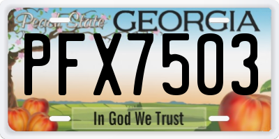 GA license plate PFX7503
