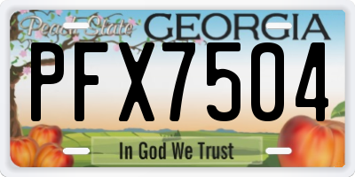 GA license plate PFX7504