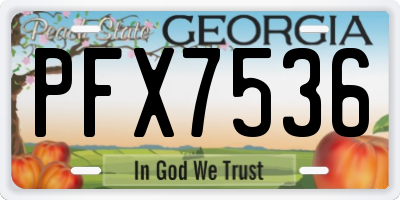 GA license plate PFX7536