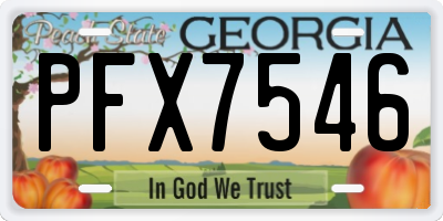 GA license plate PFX7546