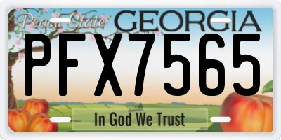 GA license plate PFX7565