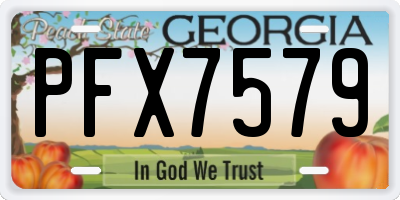 GA license plate PFX7579