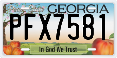 GA license plate PFX7581